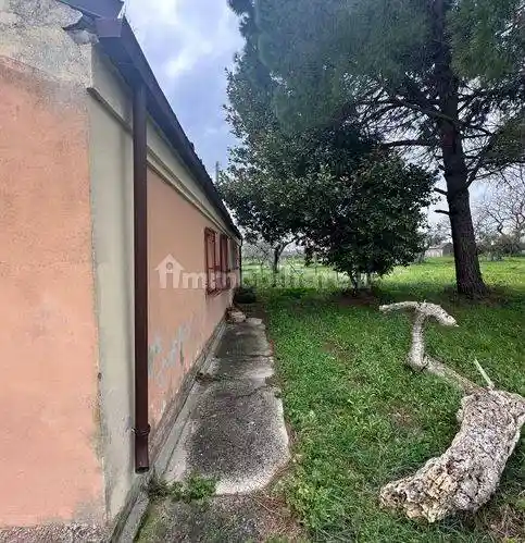 Rustico Contrada Selvotti, Casalbordino - foto 4