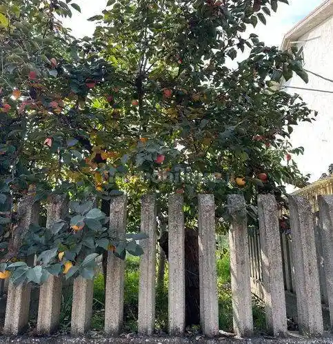 Villa unifamiliare via Evangelista Torricelli 6, Casalbordino Miracoli, Casalbordino - foto 5