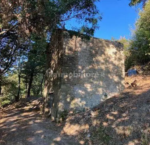 Rustico Parchiule, Borgo Pace - foto 5