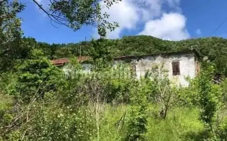 Casa indipendente in asta a Valmozzola