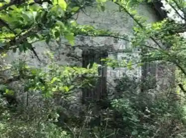 Casa indipendente all'asta Loc. Poggio di Sotto, Valmozzola - foto 4