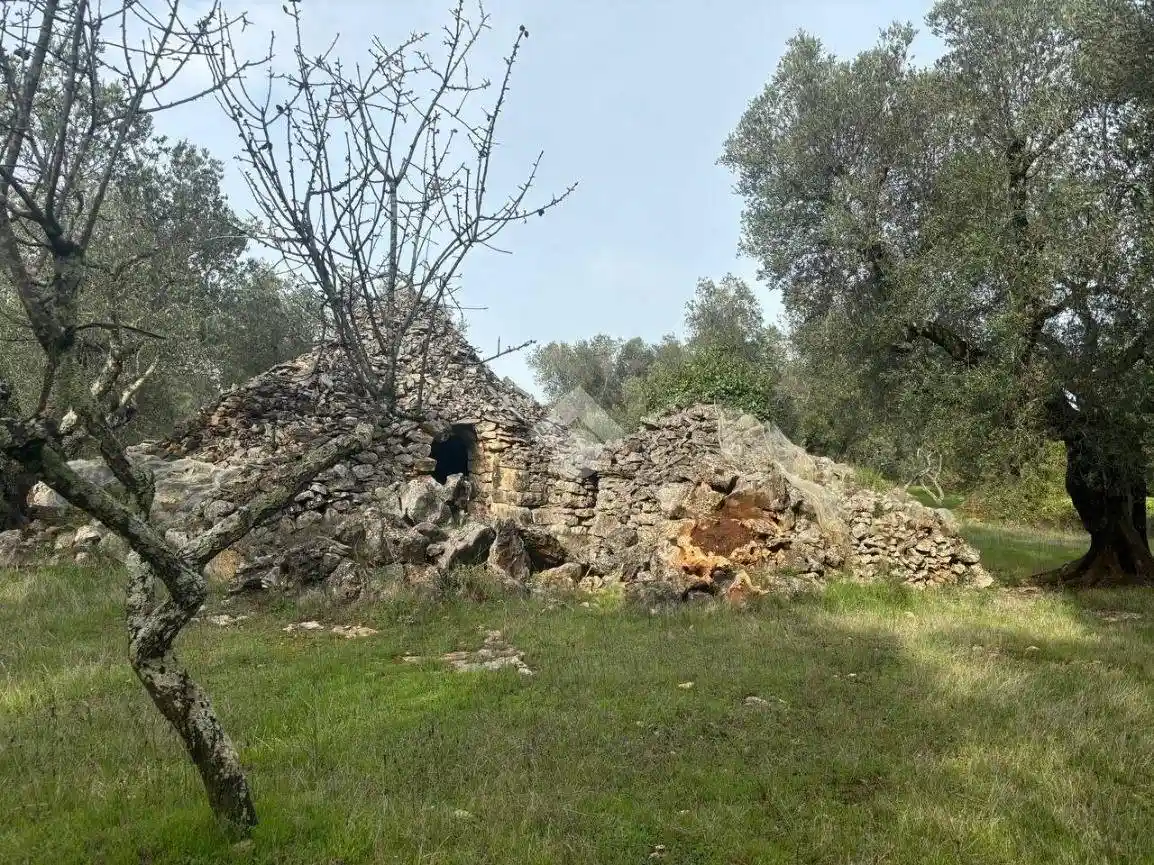 Rustico - Casale in vendita a Martina Franca