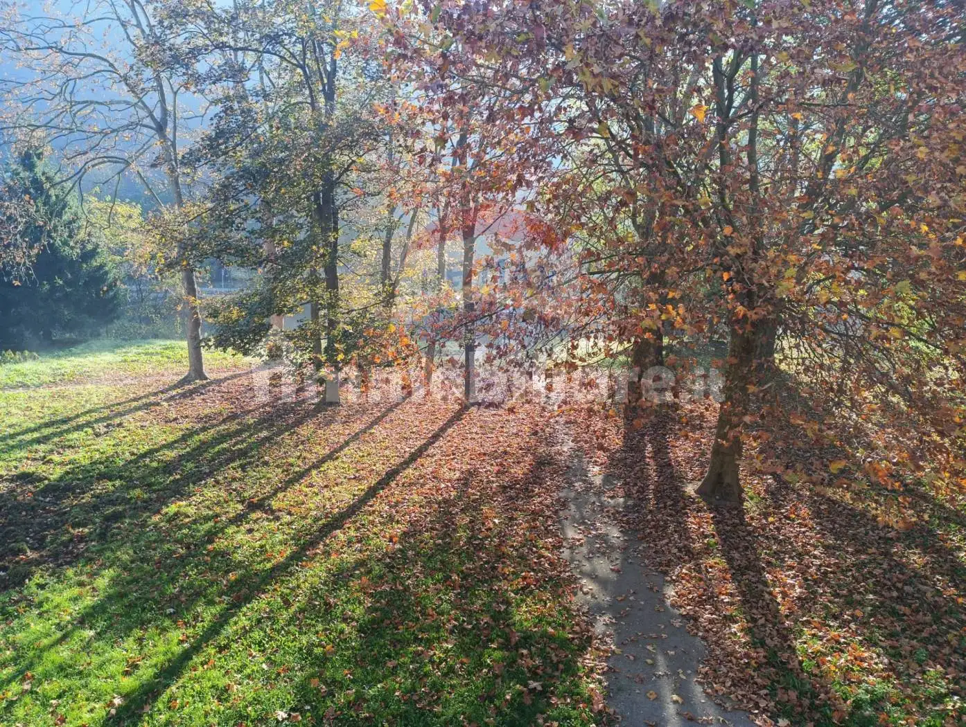 Appartamento via Gramsci 23, Ferrania, Cairo Montenotte - foto 4