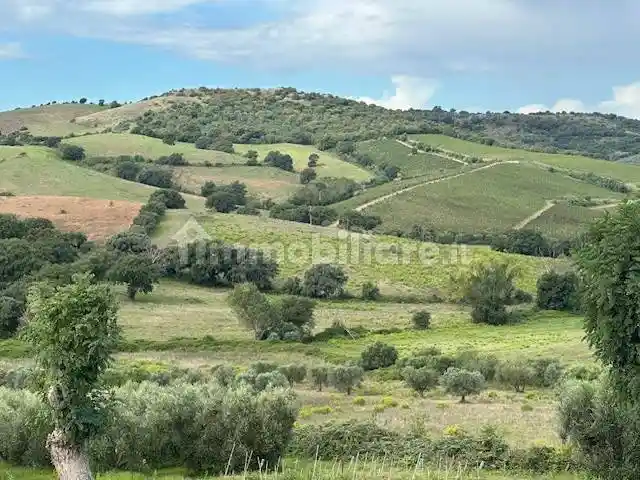Rustico, buono stato, 120 m², Cittadella - Ospedale, Grosseto - foto 3
