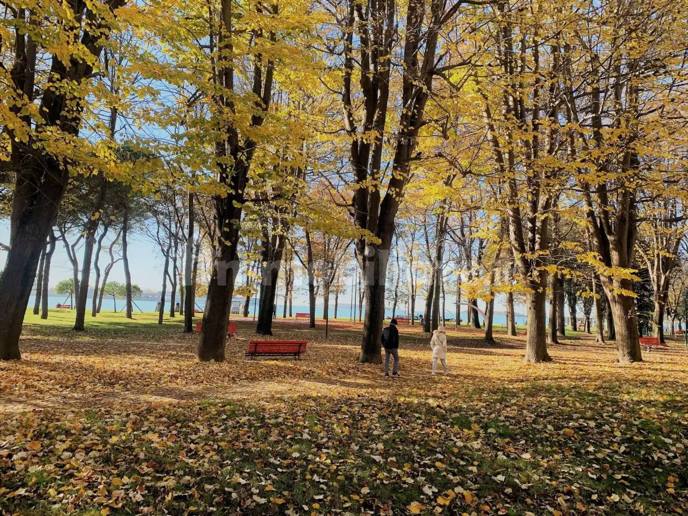 Appartamento in vendita a Venezia