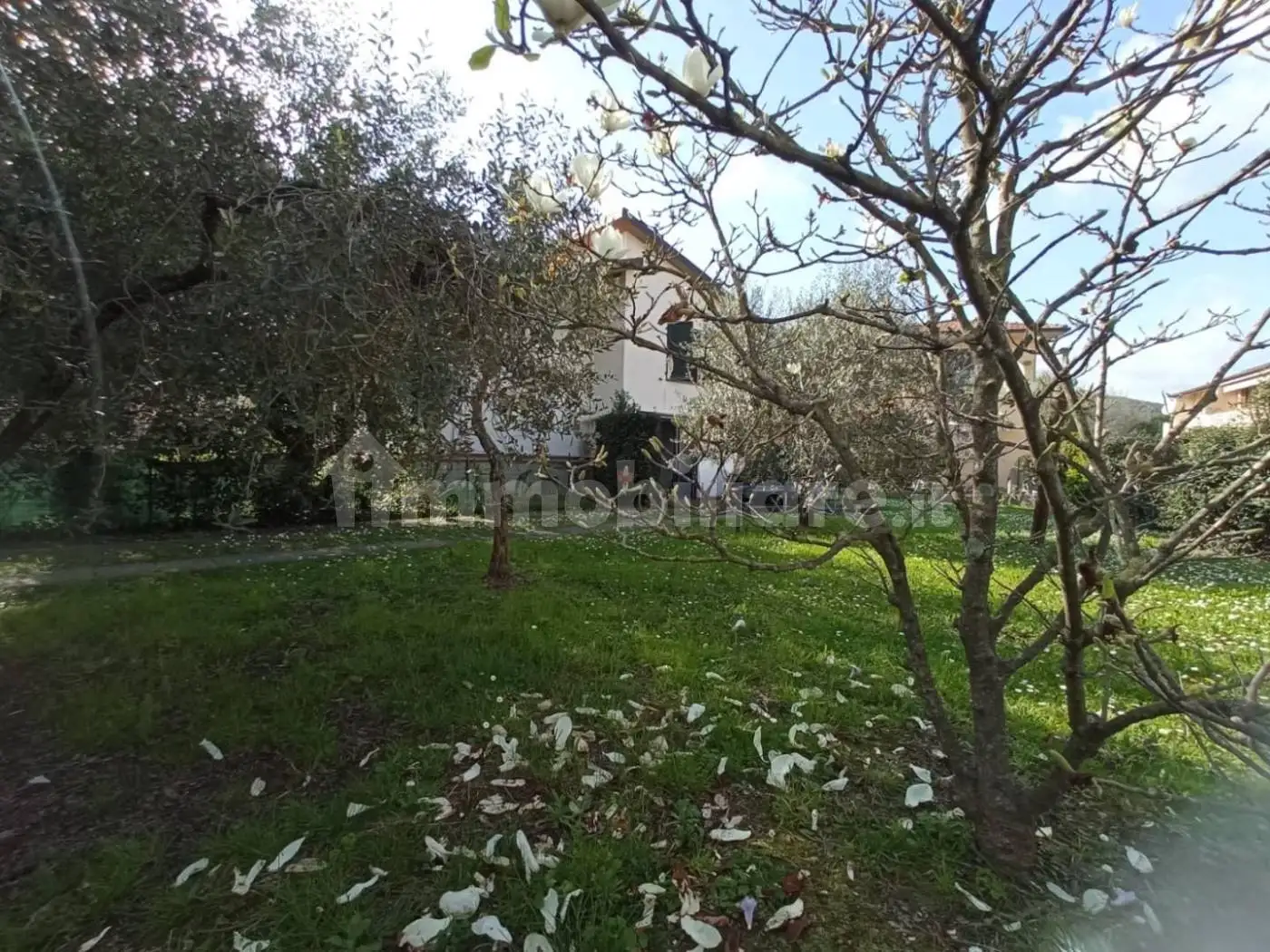 Villa in vendita a Vecchiano