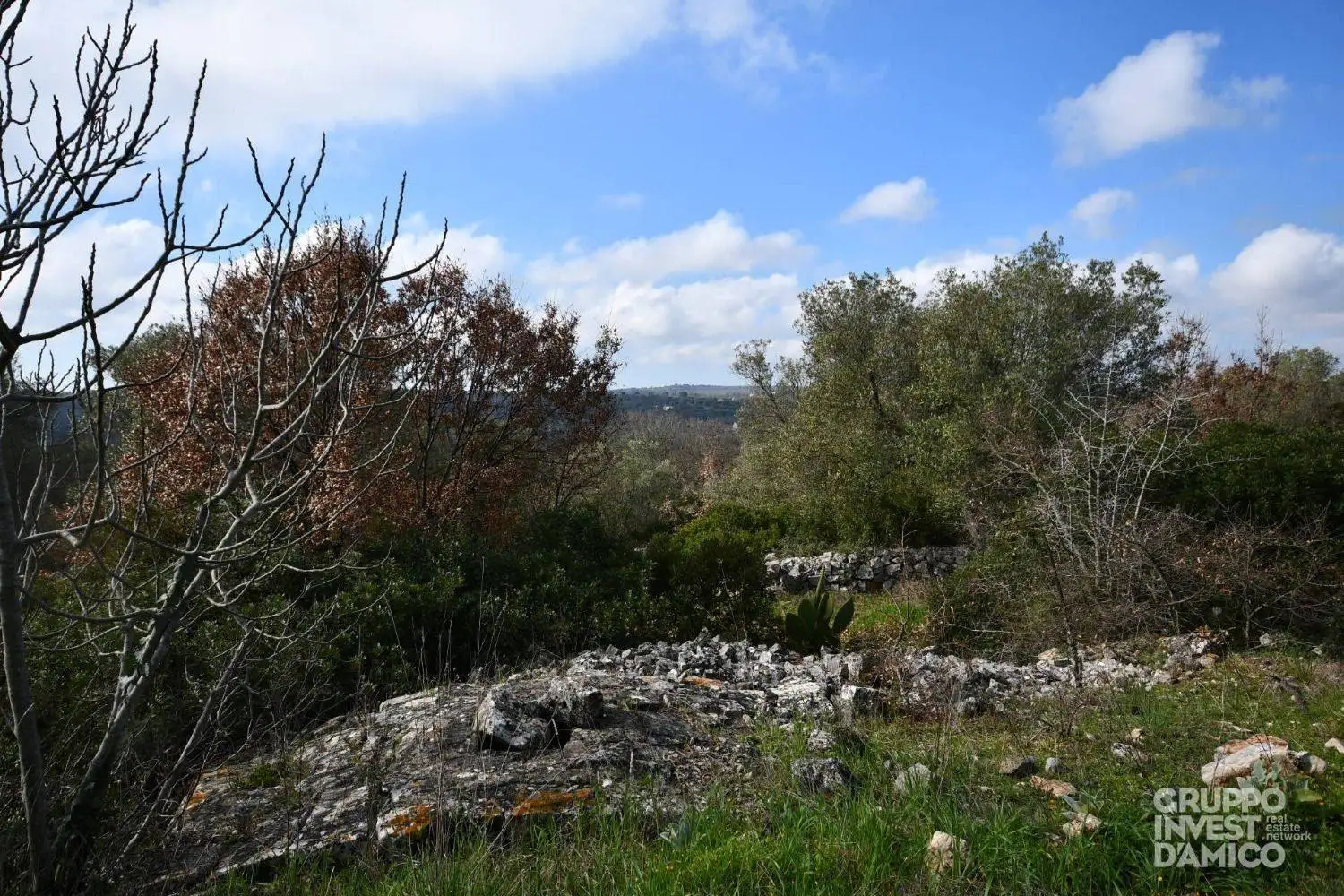 Trullo, da ristrutturare, 165 m², Ceglie Messapica - foto 5