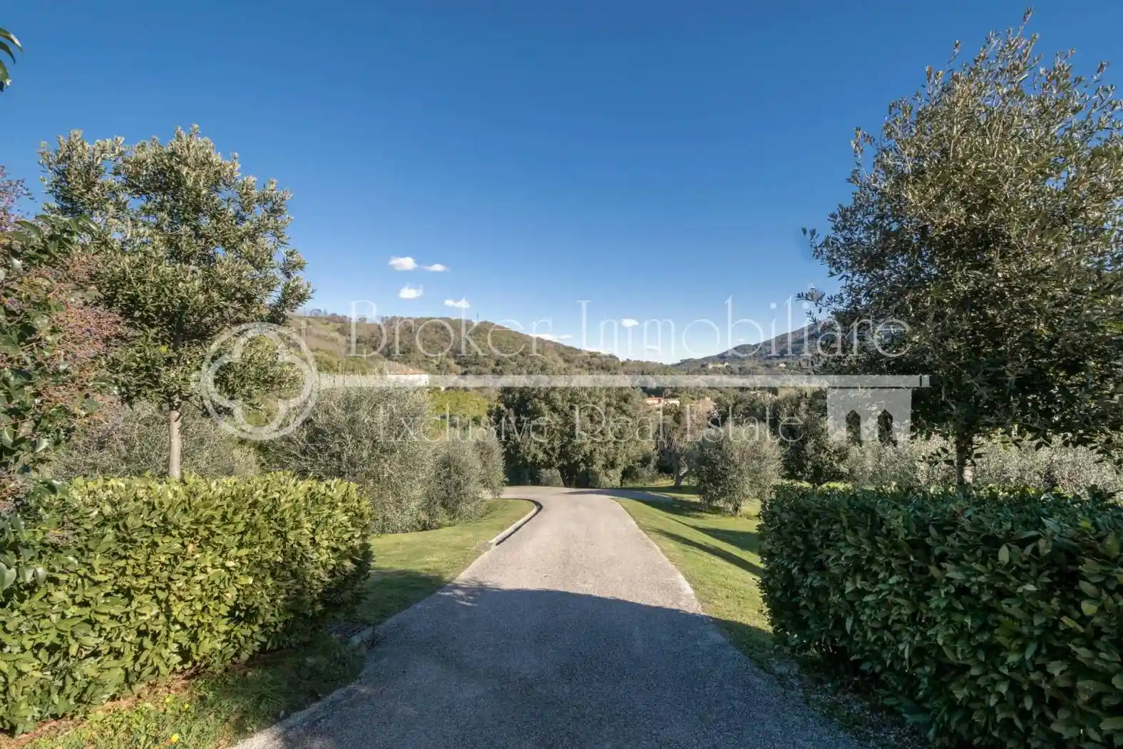 Casa colonica via Panoramica, Vecchiano - foto 3