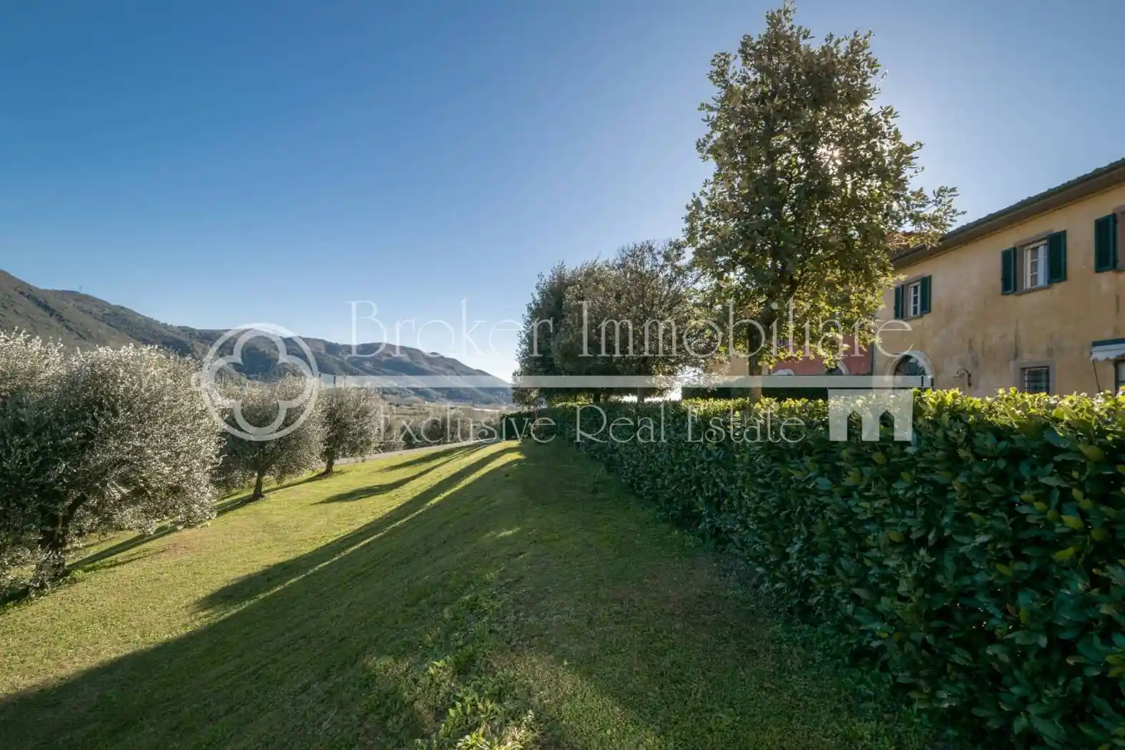 Casa colonica via Panoramica, Vecchiano - foto 4