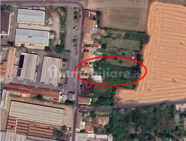 Palazzo - Stabile - foto 5