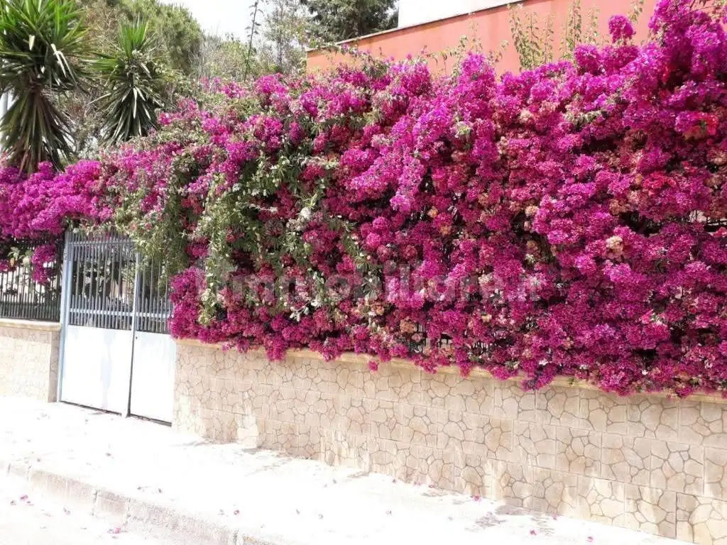 Trilocale via Torquato Tasso 7, Paradiso - Minnuta, Brindisi - foto 2