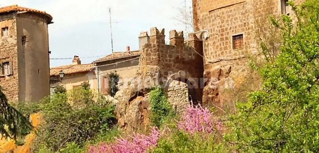 Terratetto unifamiliare via delle Case Nuove 26, Civitella Cesi, Blera - foto 3