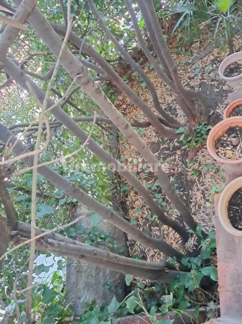 Bilocale via Privata Tetti Rossi 15, Parco San Rocco, Tetti Rossi, Loreto, Alassio - foto 3