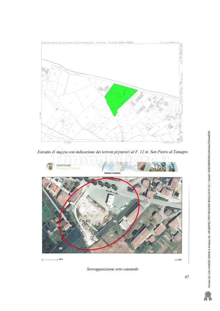 Rustico - Casale in asta a San Pietro al Tanagro