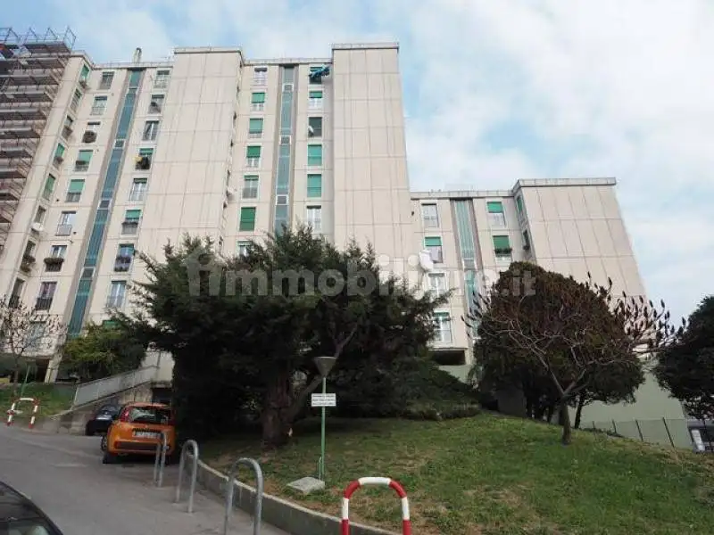 Appartamento in affitto a Trieste