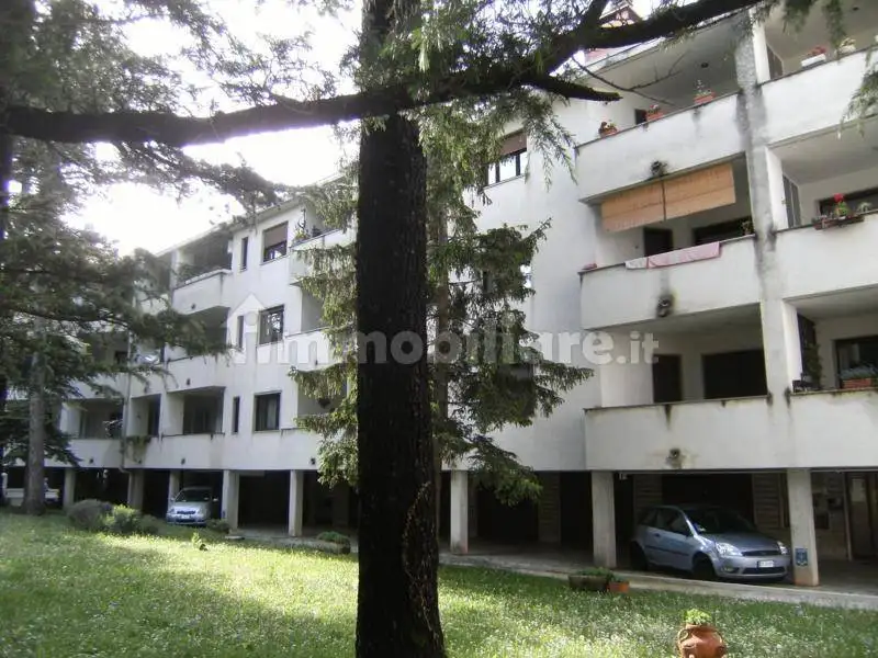 Appartamento in affitto a Trieste