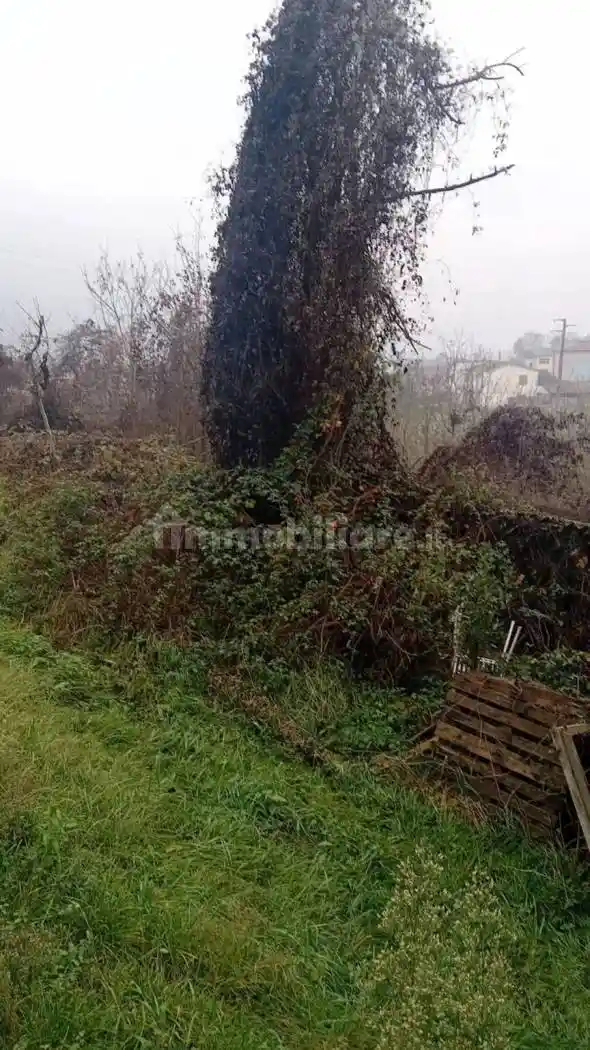 Rustico via Dante Alighieri, 15, Ponte Crenna, Bagnaria - foto 5