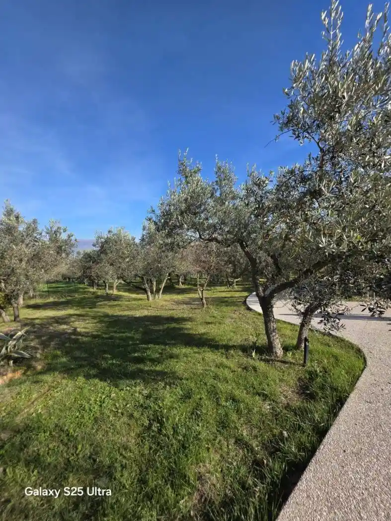 Villa unifamiliare via Madonna della Pia 9, Bevagna - foto 3