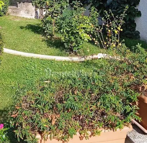 Appartamento via San Pietro 54, Centro, Cagli - foto 3