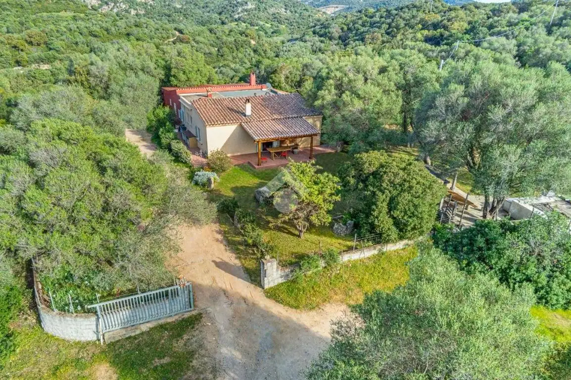 Villa in vendita a Olbia