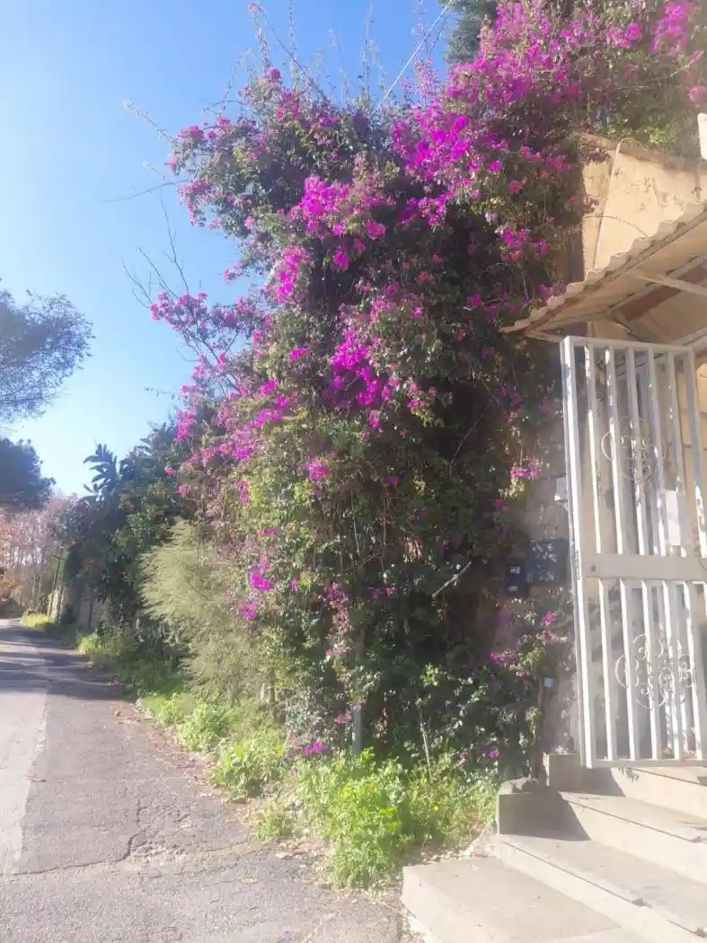 Trilocale via Privata delle Terme 19, Bagnoli, Napoli - foto 3