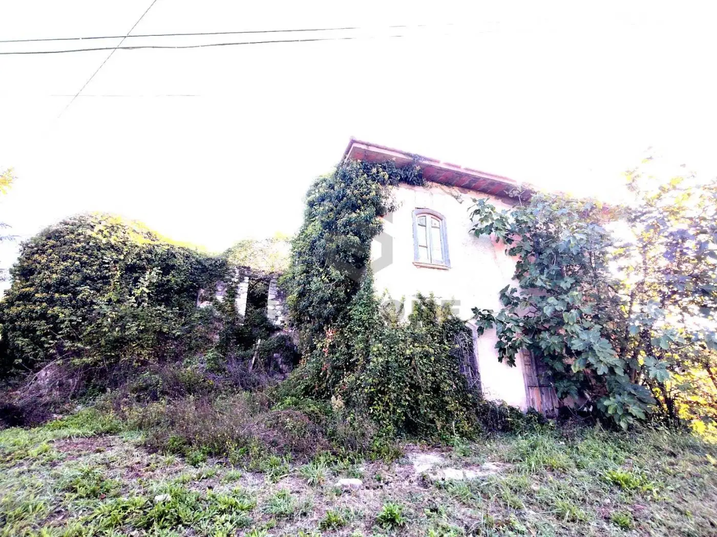 Rustico - Casale in vendita a Faicchio