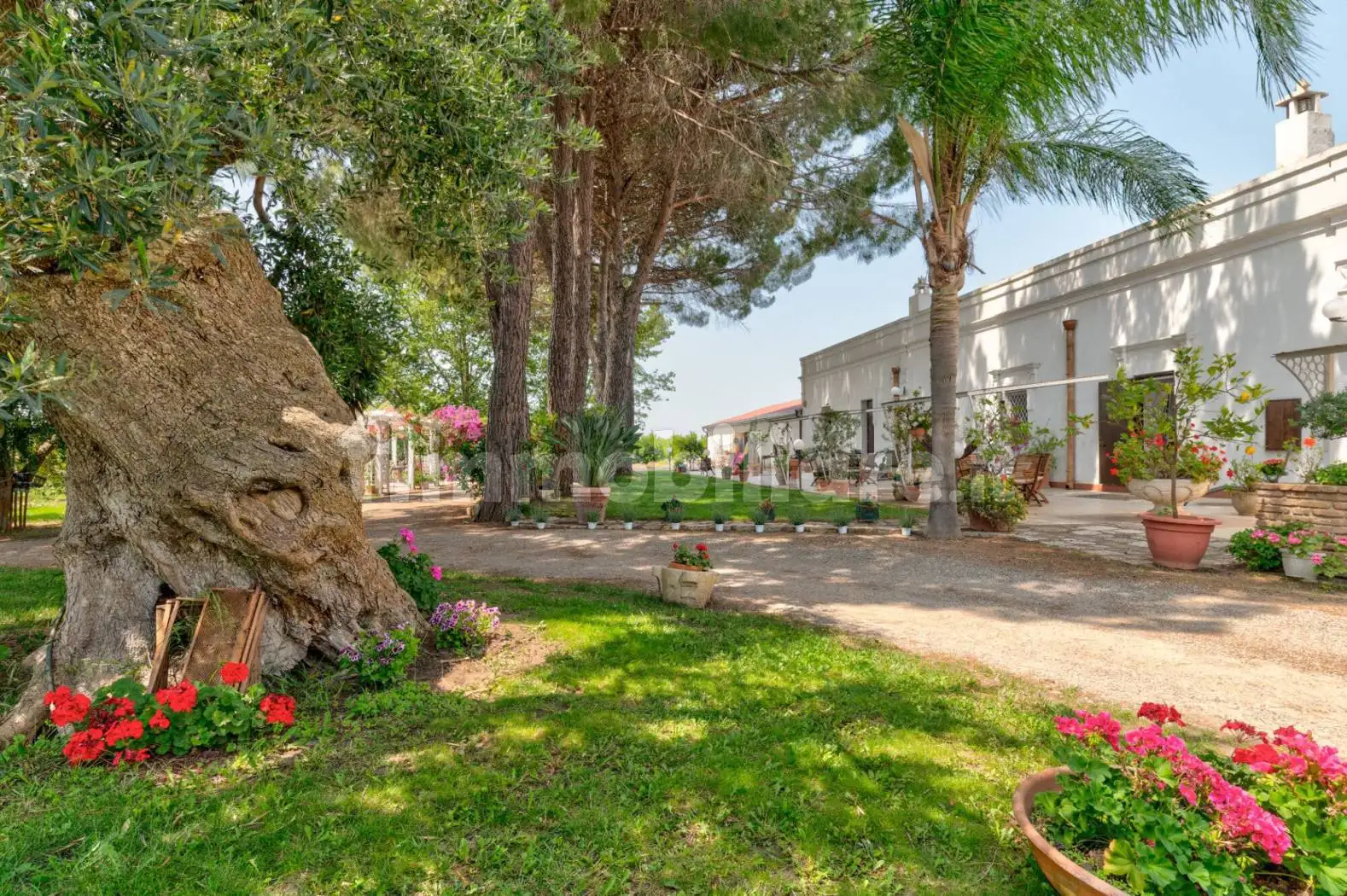 Rustico - Casale in vendita a Ginosa