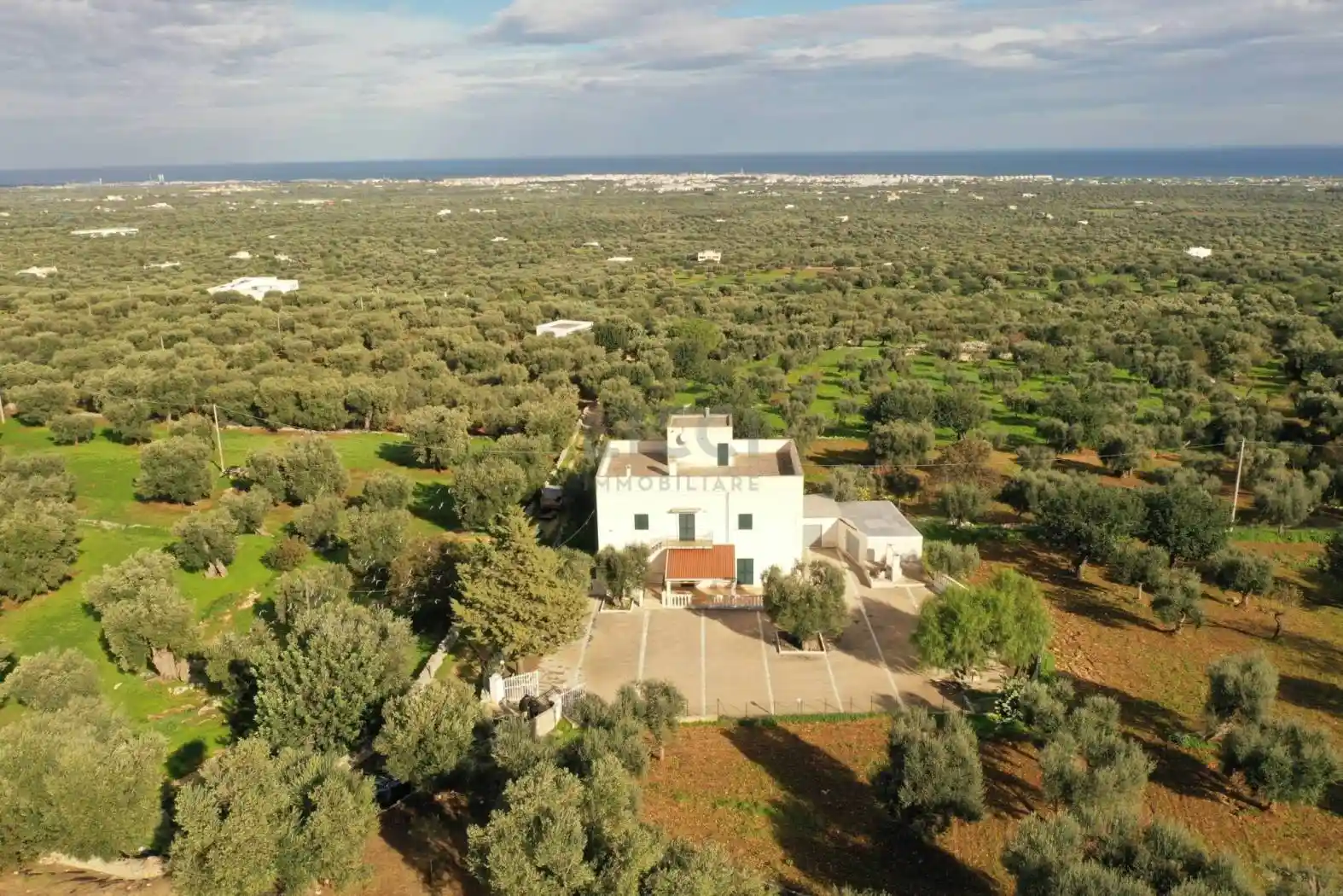 Villa in vendita a Monopoli