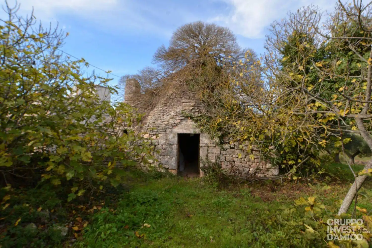Palazzo - Edificio in vendita a Cisternino