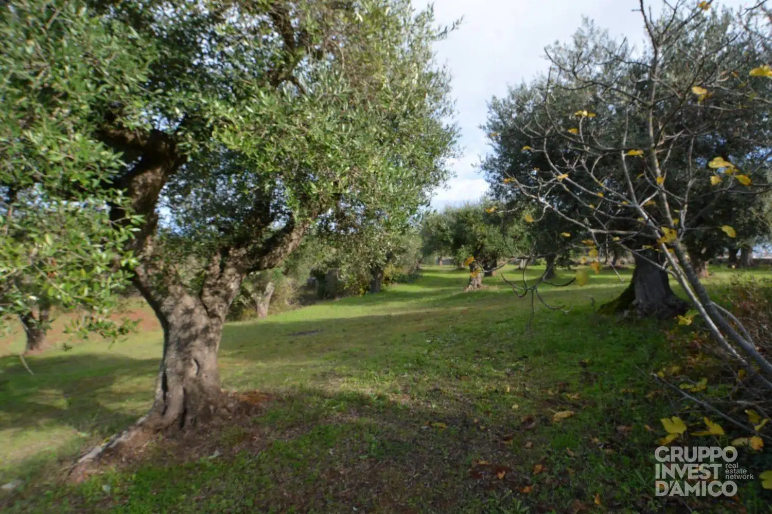 Palazzo - Edificio in Vendita - foto 2