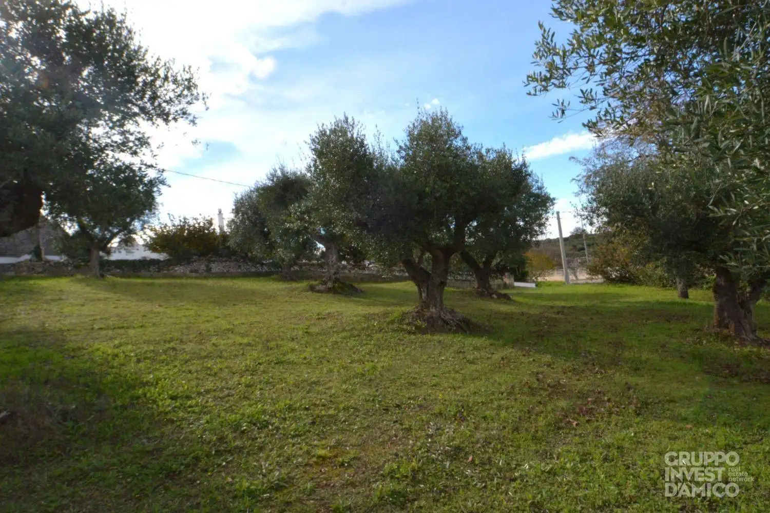 Palazzo - Edificio in Vendita - foto 3