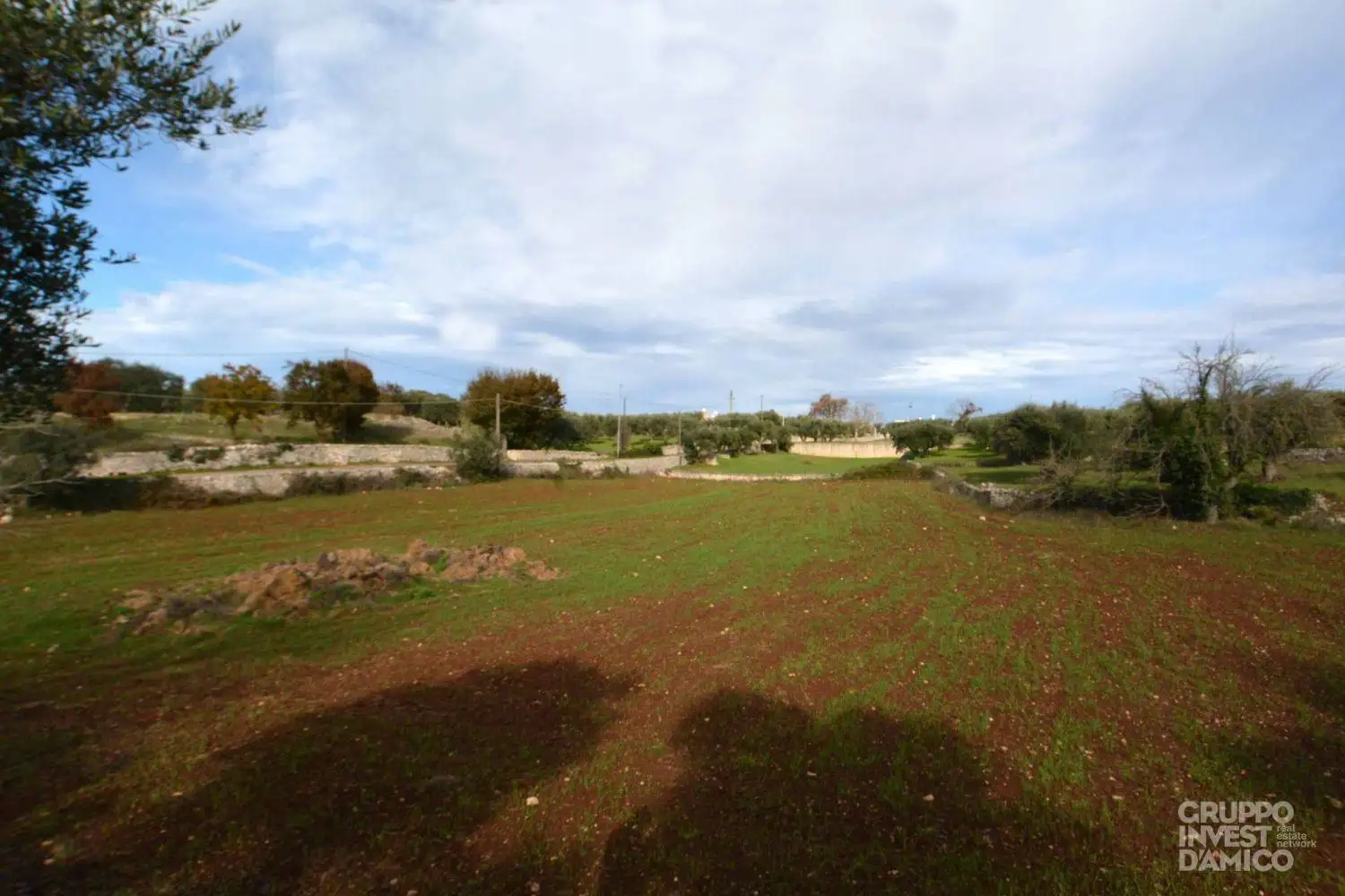 Palazzo - Edificio in Vendita - foto 4