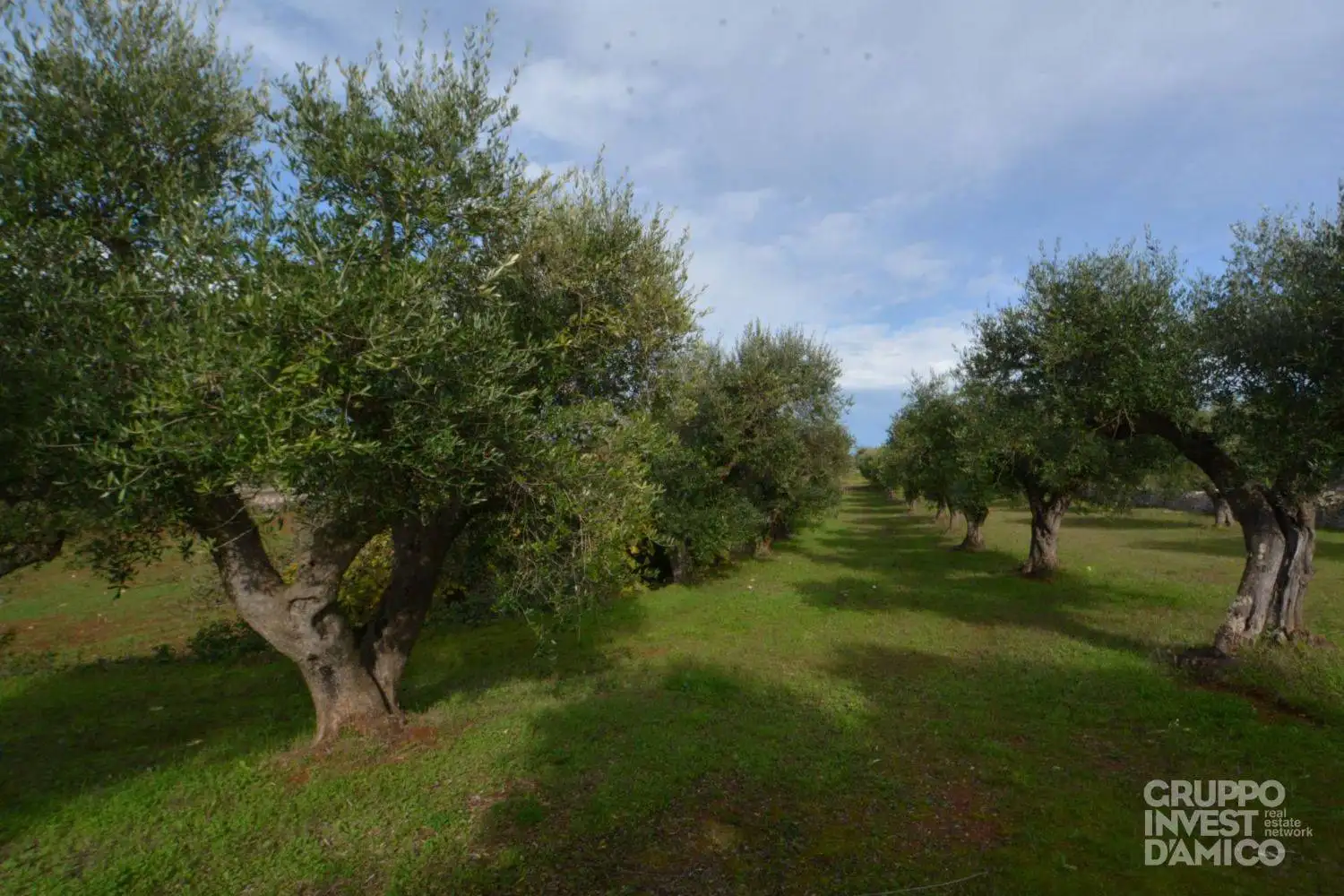 Palazzo - Edificio in Vendita - foto 5