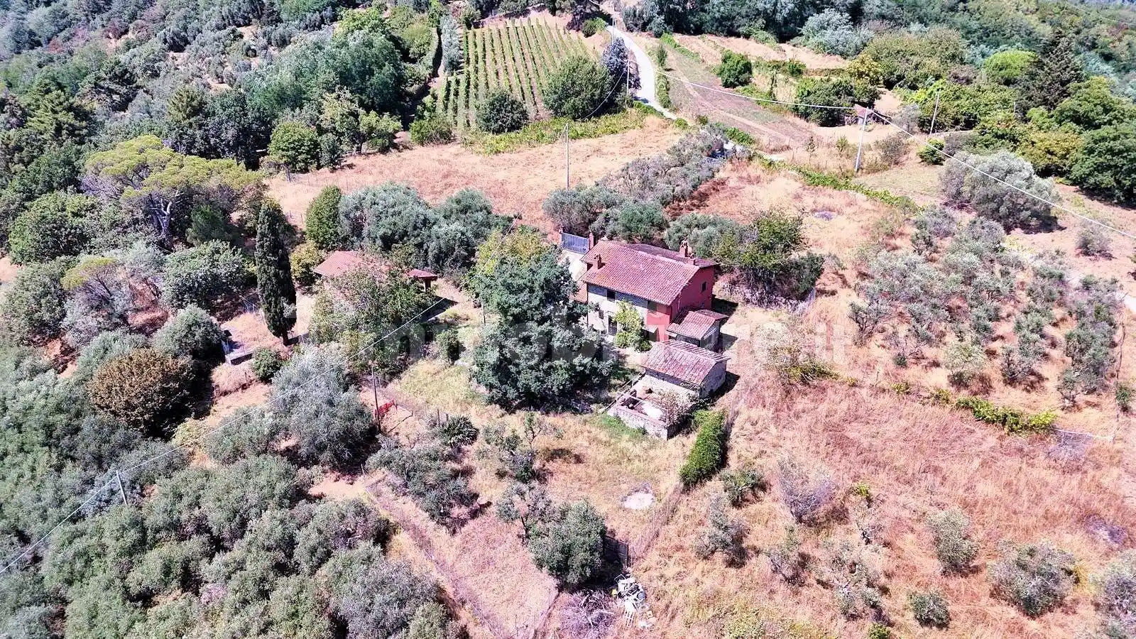 Rustico - Casale - foto 3