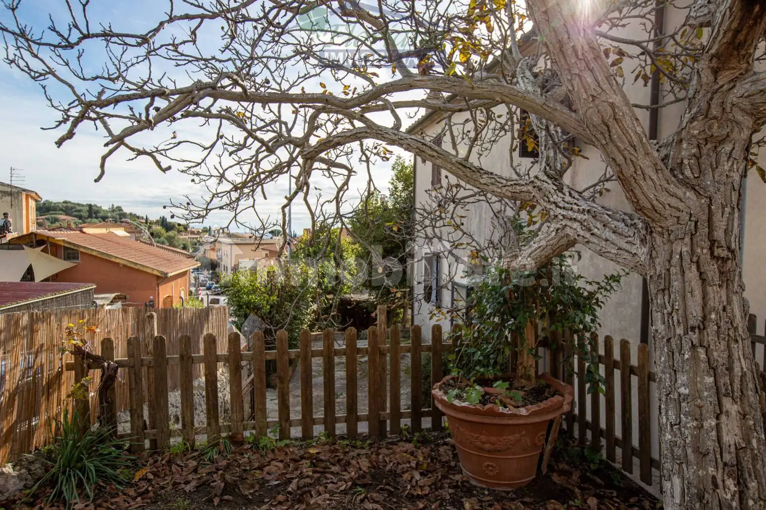 Rustico - Casale in vendita a Capalbio