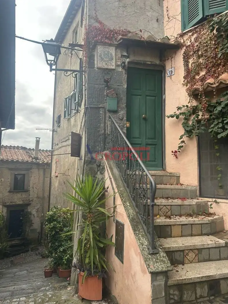 Appartamento in affitto a Bracciano