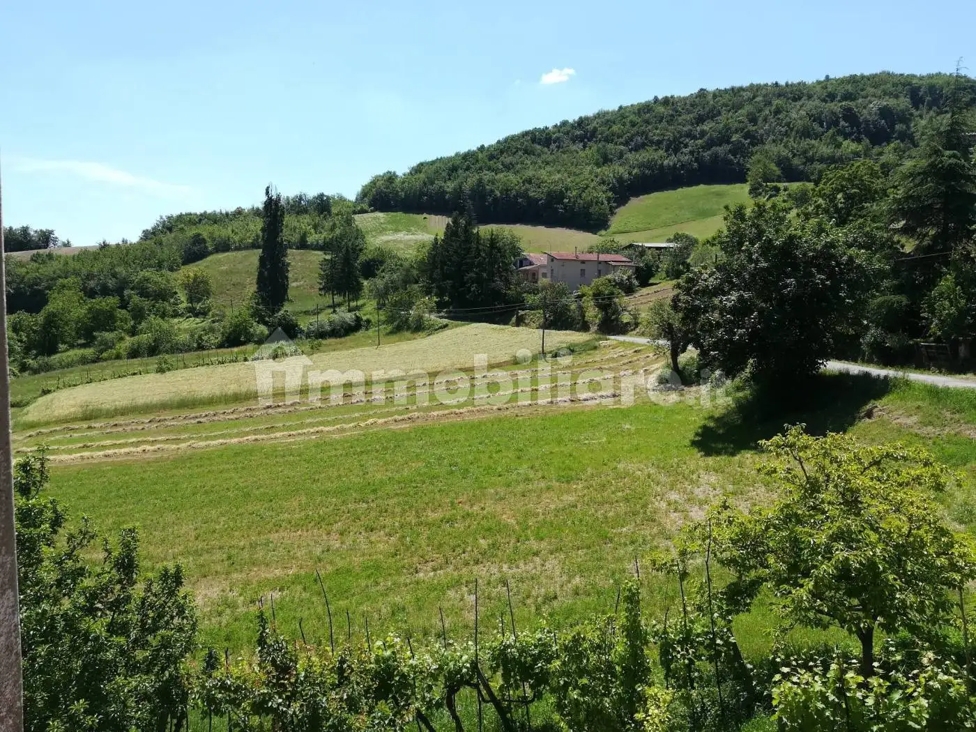 Casa indipendente in vendita a Pellegrino Parmense