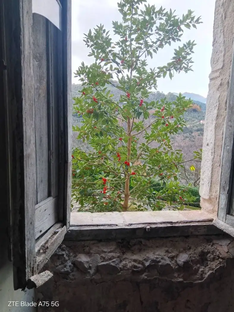 Appartamento in vendita a Montefranco