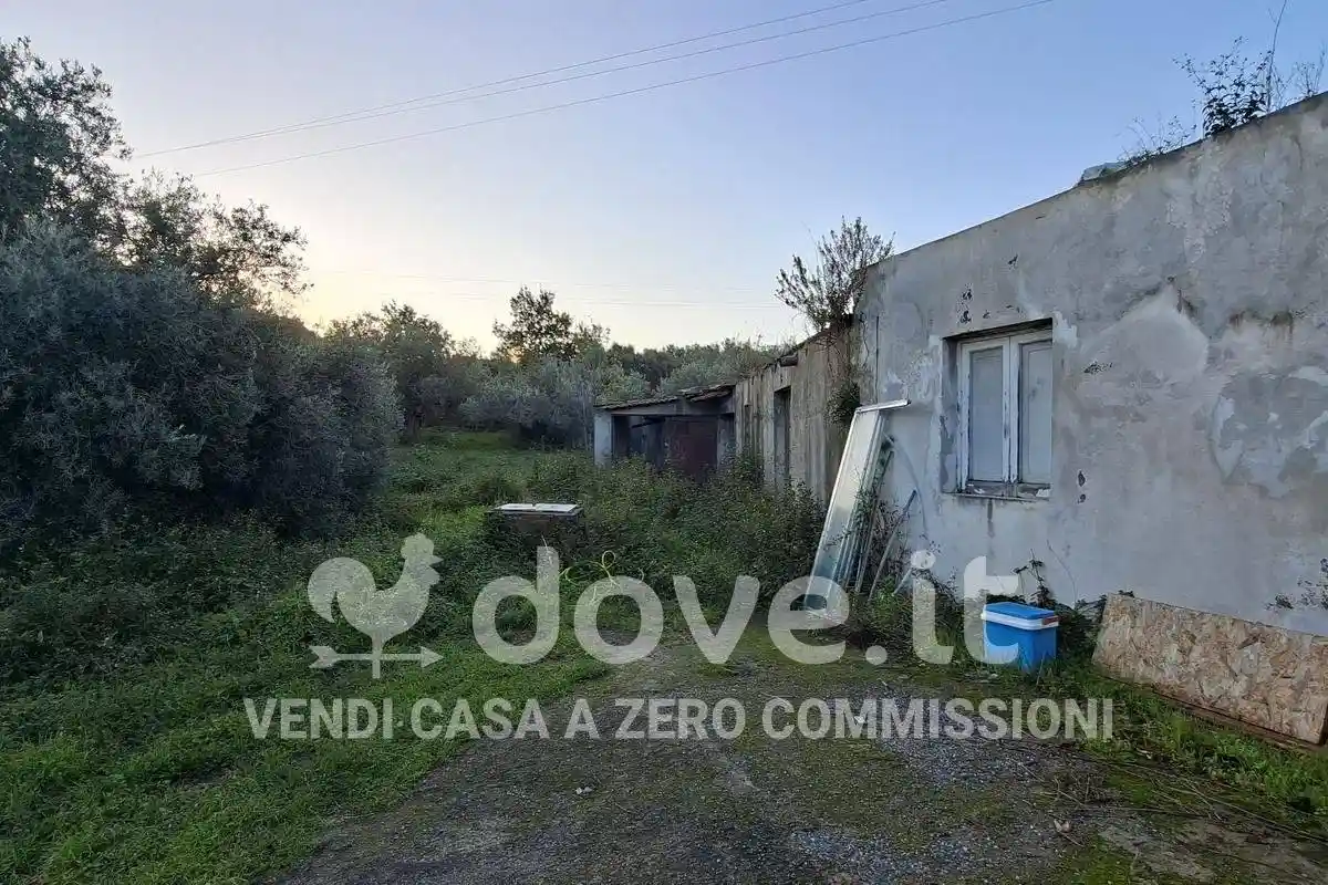 Rustico - Casale - foto 4