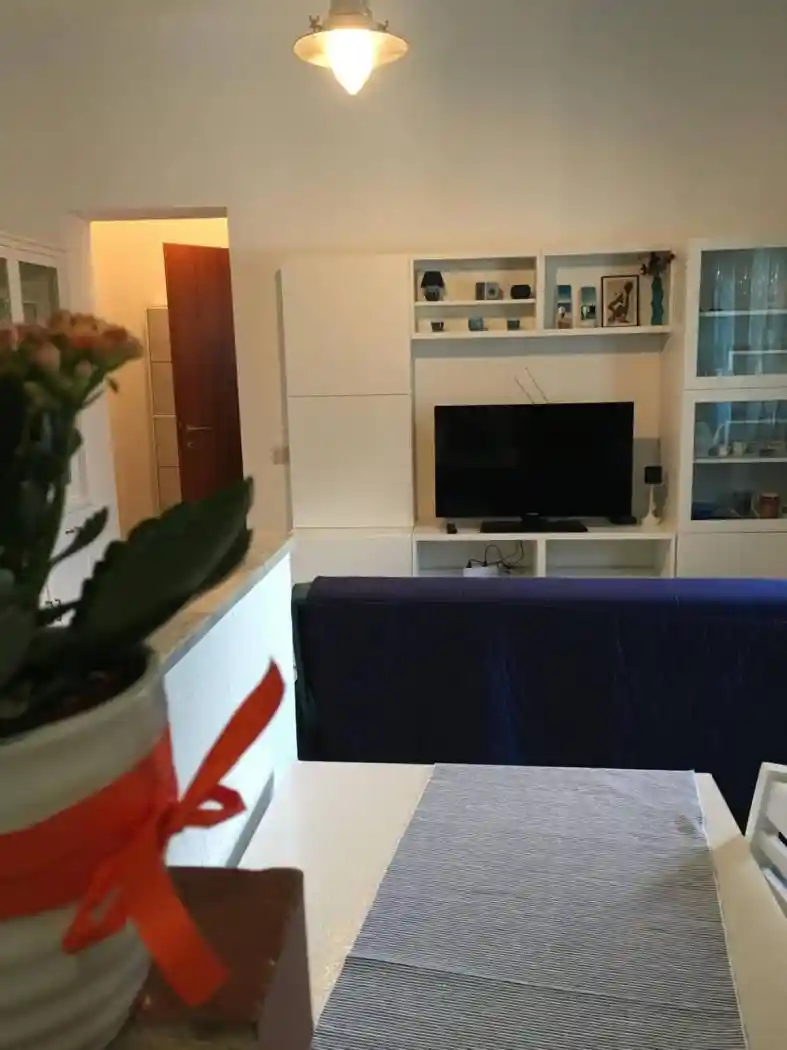 Trilocale via San Jacopo In Acquaviva 12, Accademia - Terrazza Mascagni, Livorno - foto 5