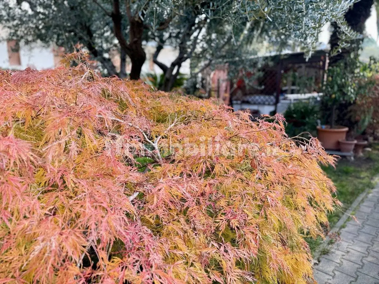 Villetta a schiera in vendita a Lignano Sabbiadoro