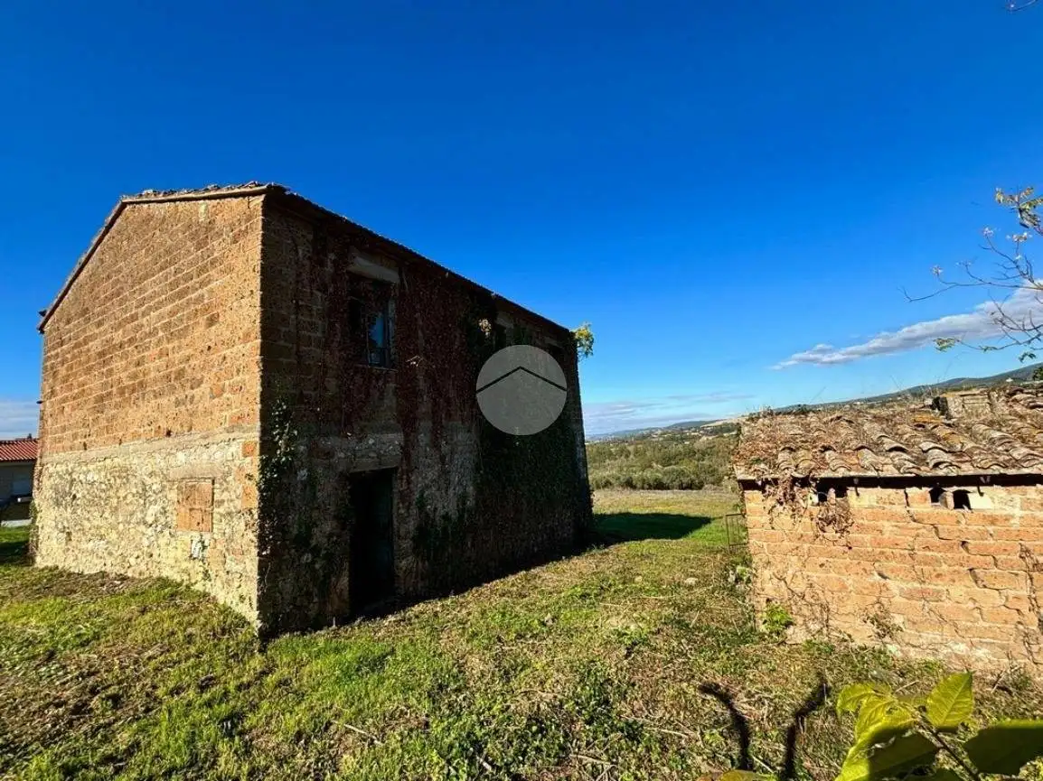 Rustico Vocabolo Fosso, Calvi dell'Umbria - foto 4