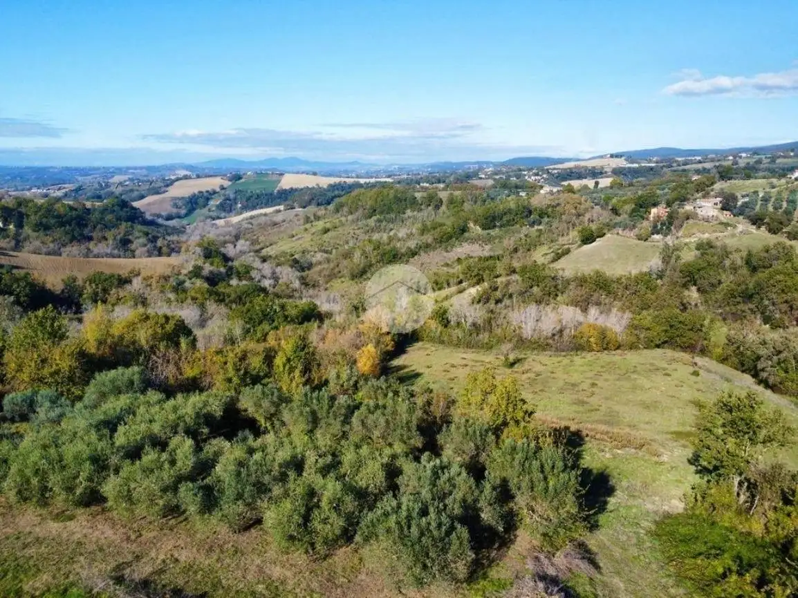 Rustico Vocabolo Fosso, Calvi dell'Umbria - foto 5