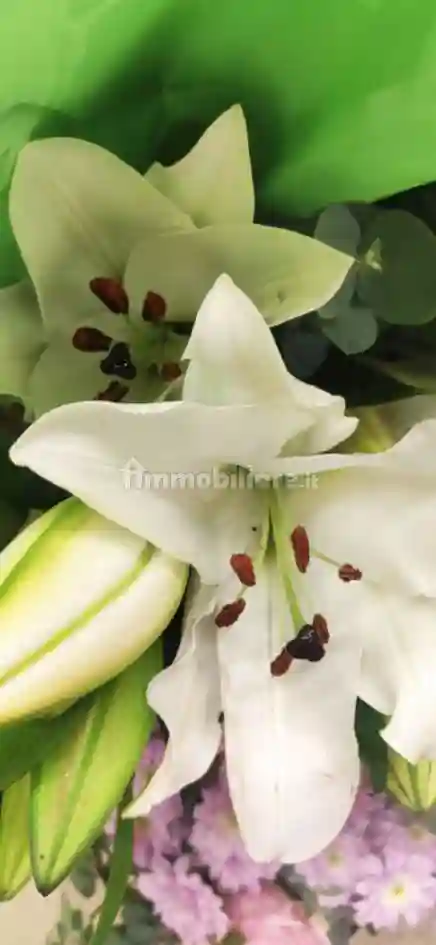 Trilocale via Circonvallazione 30, Centro, Cornate d'Adda - foto 4