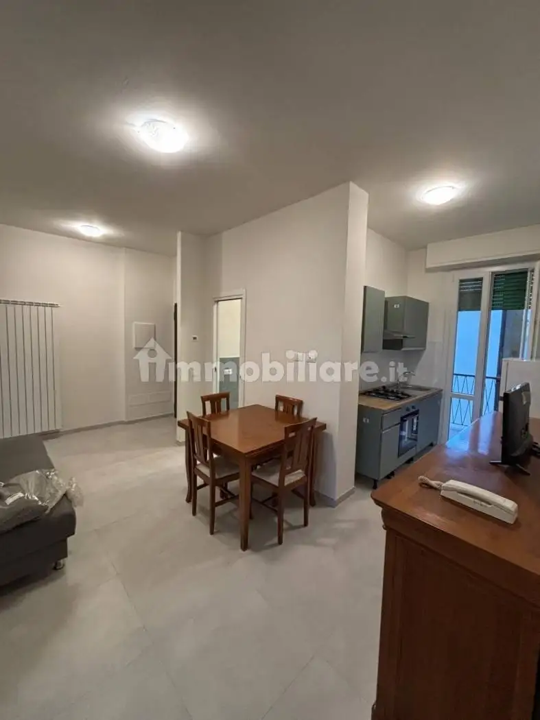 Appartamento in affitto a Pisa