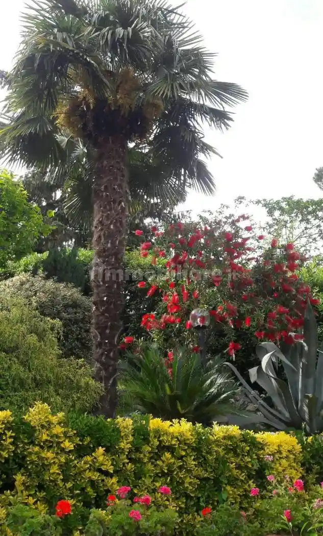 Villa unifamiliare via Benedetto da Cesino 34, Pontedecimo, Genova - foto 5