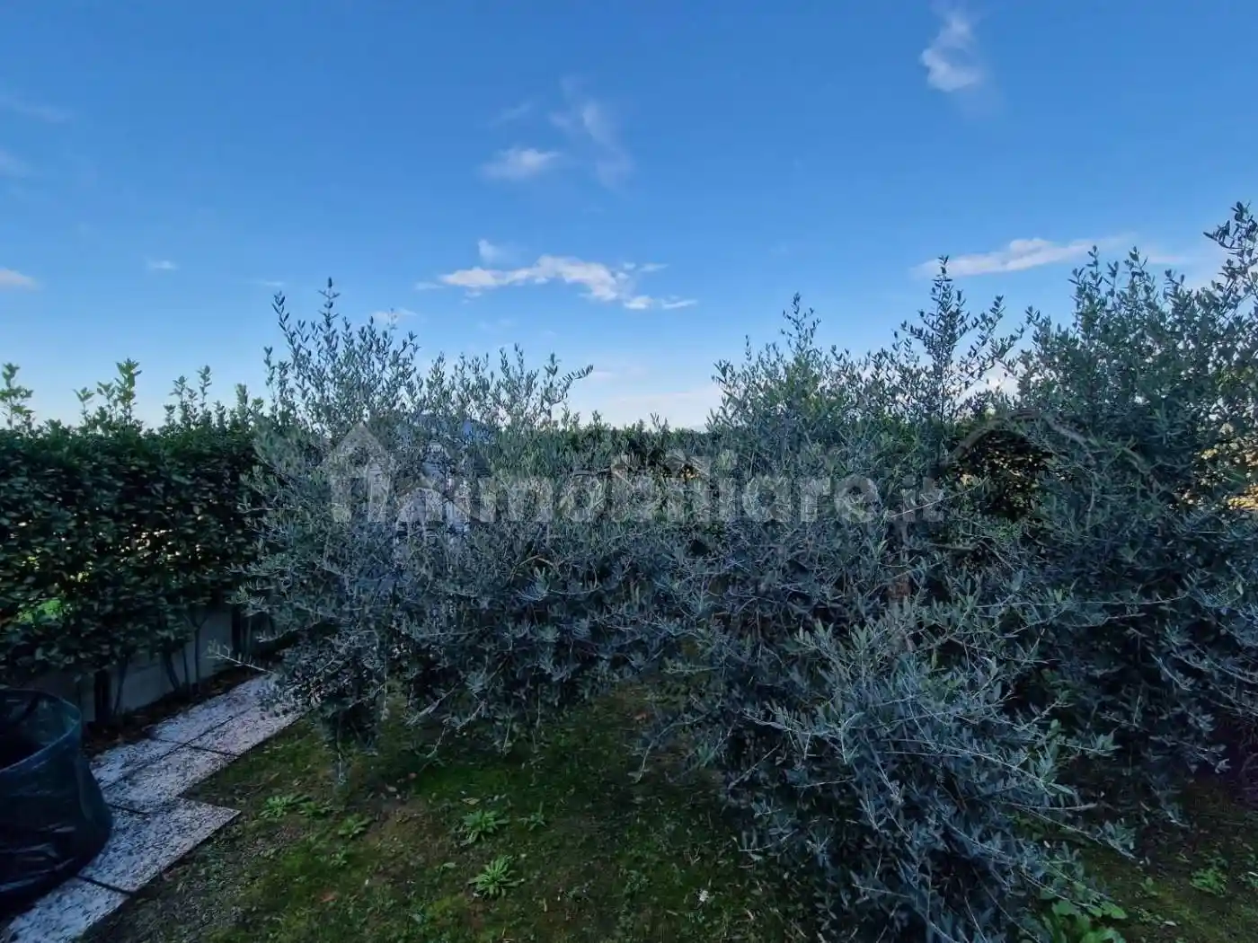 Quadrilocale via Albert Einstein,  56040, Cenaia, Crespina e Lorenzana - foto 3