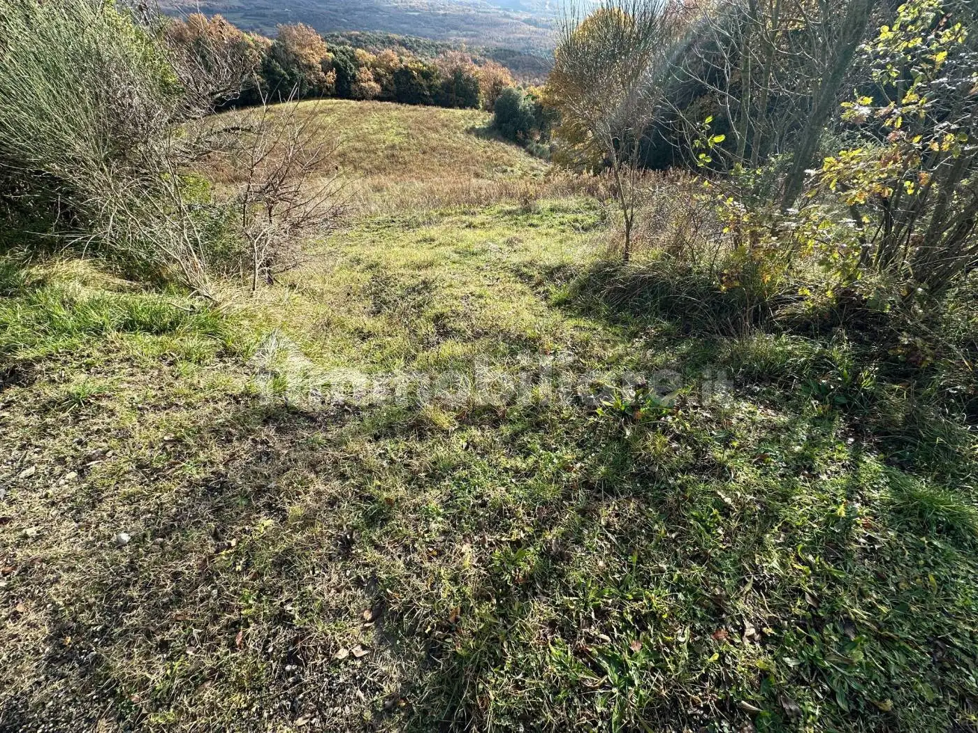Rustico via del Monte, Castelnuovo di Val di Cecina - foto 3