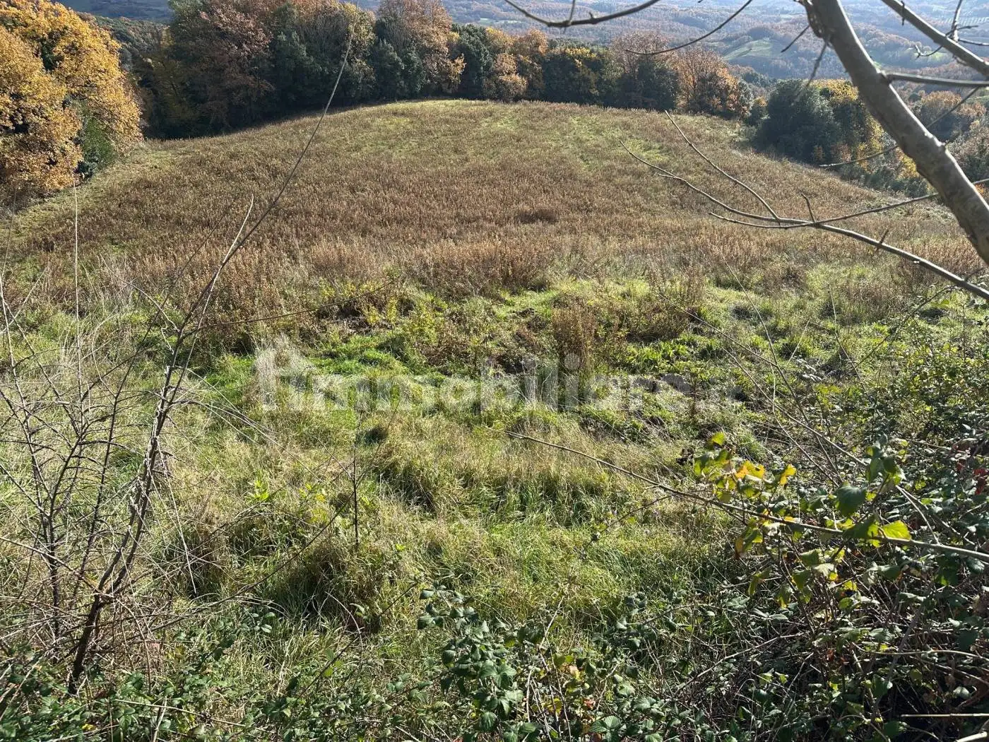 Rustico via del Monte, Castelnuovo di Val di Cecina - foto 4