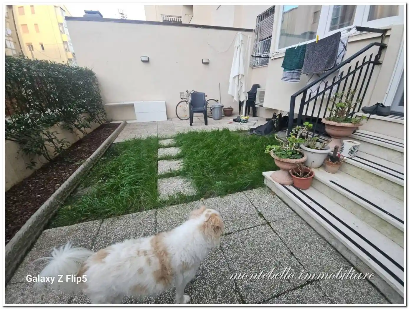 Quadrilocale via Temistocle Guerrazzi, Fabbricotti, Livorno - foto 3